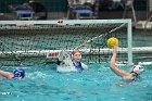 WWPolo vs CC  Wheaton College Women’s Water Polo compete in their sports inaugural match vs Connecticut College. - Photo By: KEITH NORDSTROM : Wheaton, water polo, inaugural